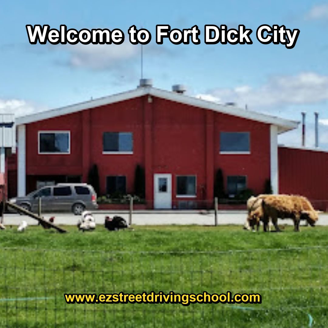 Driving Lessons in Fort Dick
